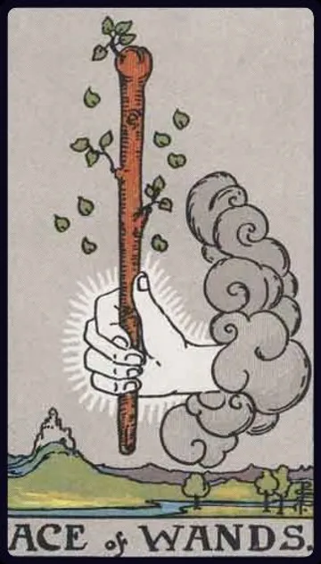 Explore the journey of the Suit of Wands, from the fiery spark of the Ace to the burdens of the Ten. Understand the evolutionary cycle of inspiration, action, and ambition in the Minor Arcana.